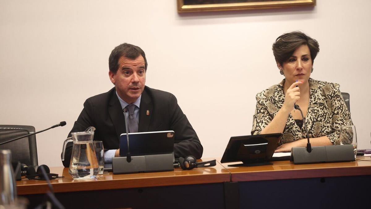 Mikel Irujo y María Solana, en la comisión de este martes.