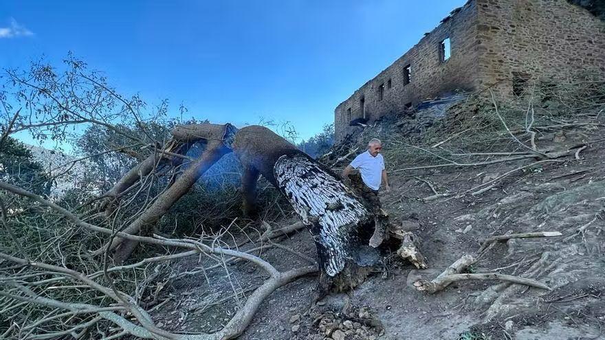 Más de 500 hectáreas quemadas en el incendio de Balmaseda.