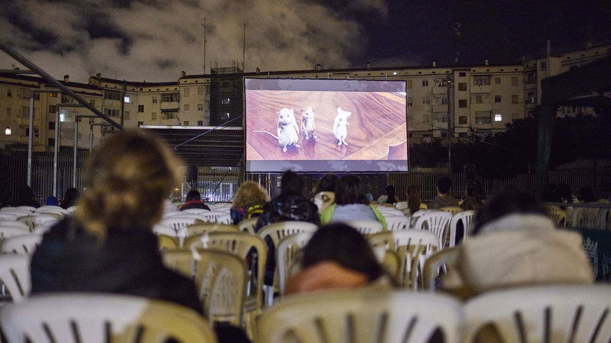 Noches de cine.