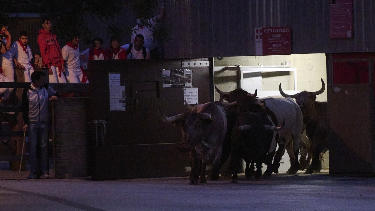 Imagen de archivo del encierrillo