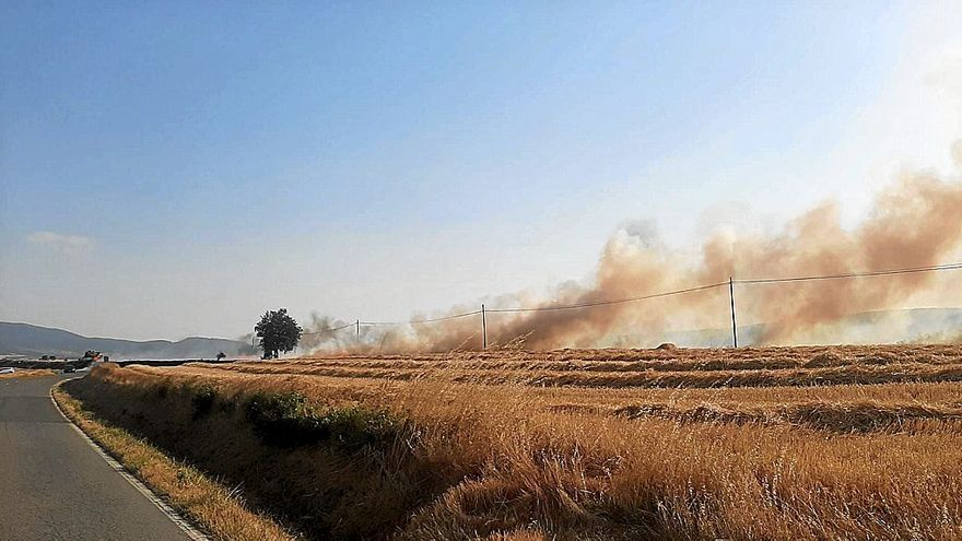 La alarma saltó poco antes de las 19.00 horas en una zona junto a la báscula de la carretera que va desde Vitoria hasta Mendoza. El viento ayudó a expandir las llamas y obligaron a los equipos de emergencias a emplearse a fondo para c