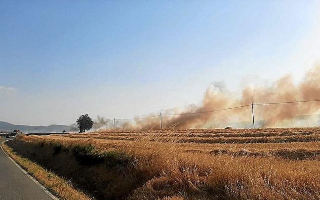 La alarma salt&oacute; poco antes de las 19.00 horas en una zona junto a la b&aacute;scula de la carretera que va desde Vitoria hasta Mendoza. El viento ayud&oacute; a expandir las llamas y obligaron a los equipos de emergencias a emplearse a fondo para c