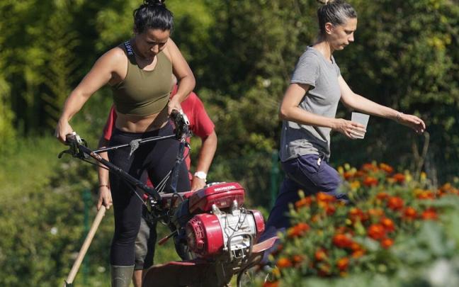Usuarias y voluntarias del proyecto 'Altza Baratza', en el huerto que gestiona Cáritas en Auditz Akular Usuarias y voluntarias del proyecto 'Altza Baratza', en el huerto que gestiona Cáritas en Auditz Akular