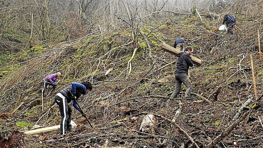 Las labores se vieron dificultadas por el barro y lo agreste y escarpado de algunas zonas de plantación.