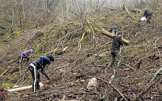 Las labores se vieron dificultadas por el barro y lo agreste y escarpado de algunas zonas de plantación.