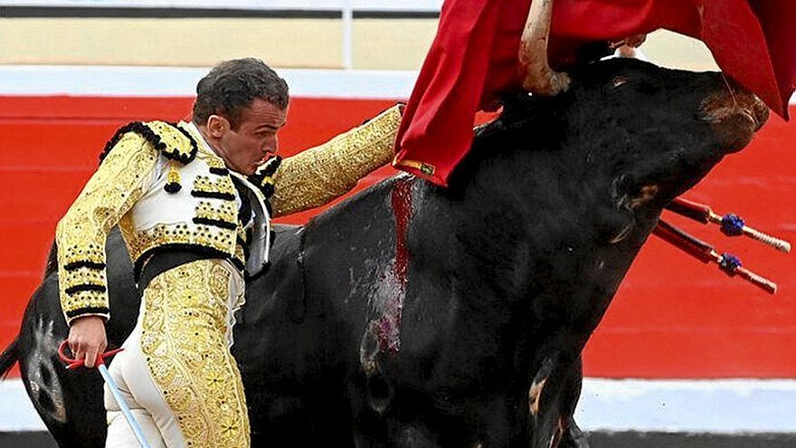 Muletazo de Román a ‘Argelón’, el colorado ojinegro de Dolores Aguirre. | FOTOS: OSKAR GONZÁLEZ