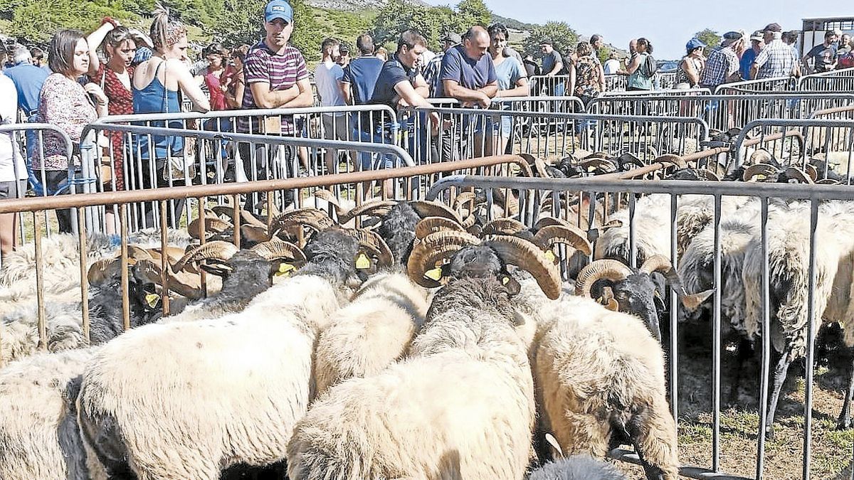 El domingo se celebr&oacute; el D&iacute;a de la Facer&iacute;a entre Aezkoa y Garazi. Consulta aqu&iacute; los actos de este martes 26 de julio.