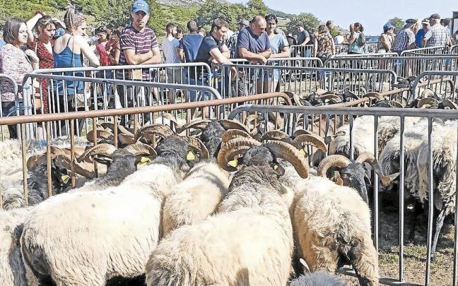 El domingo se celebr&oacute; el D&iacute;a de la Facer&iacute;a entre Aezkoa y Garazi. Consulta aqu&iacute; los actos de este martes 26 de julio.