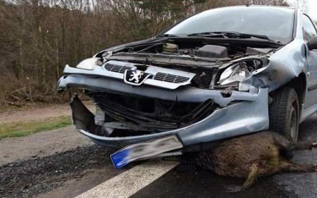 Accidente provocado por un jabalí.