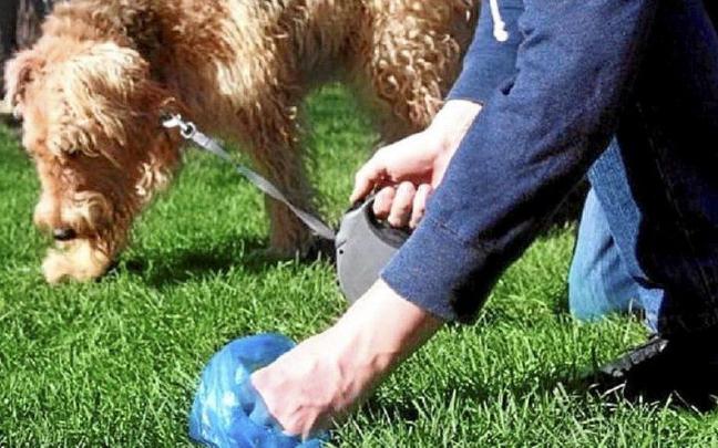 Un hombre recoge las cacas de su perro Un hombre recoge las cacas de su perro