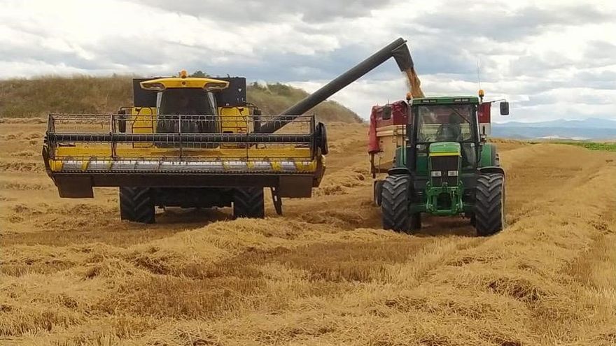 Una cosechadora y un tractor cosechando un campo de cereal.