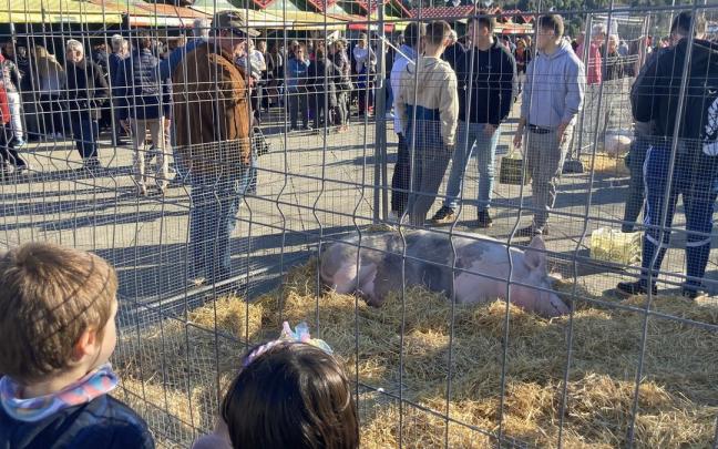 La feria de Santo Tomás de Lekeitio mantiene la presencia de animales.