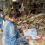 Un mujer ojea uno de los ejemplares en la feria.