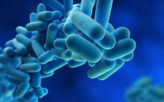 La nueva molécula ataca a un tipo concreto de bacterias. La nueva molécula ataca a un tipo concreto de bacterias.