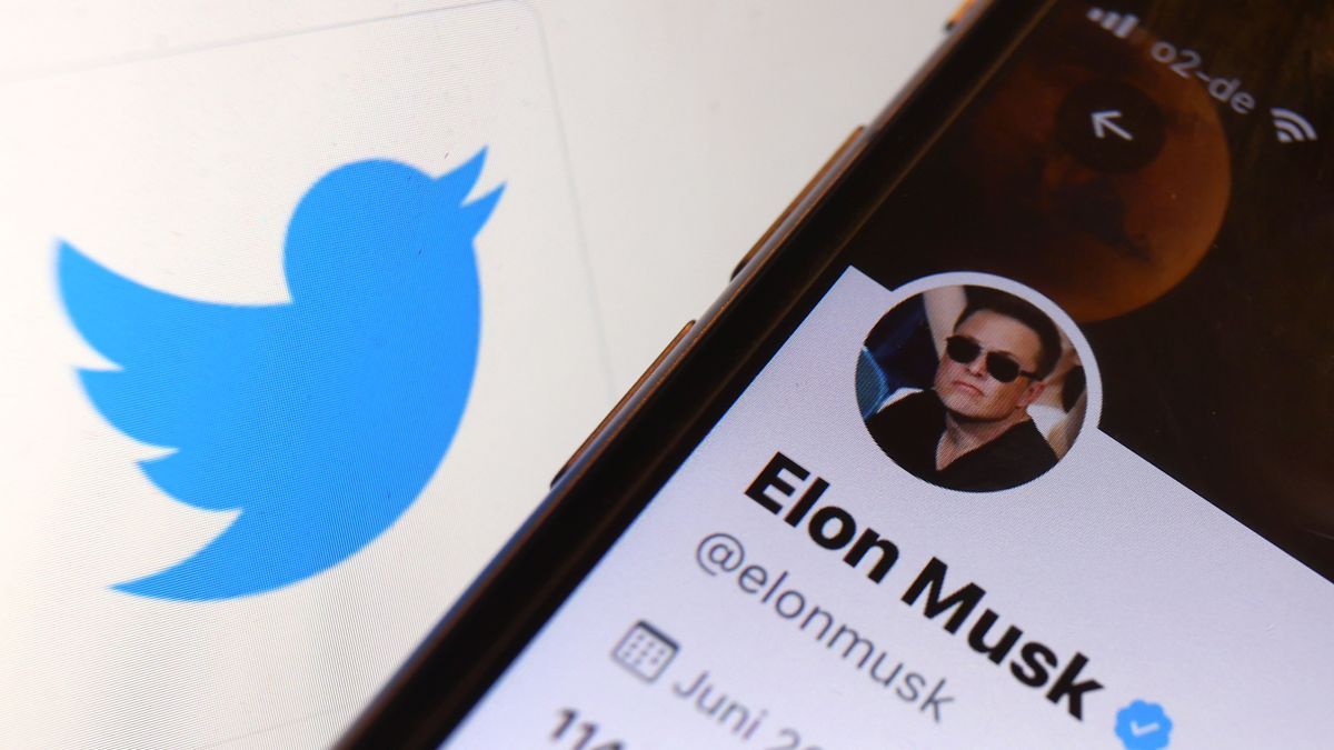 Logo de la red social Twitter y el perfil de Elon Musk.