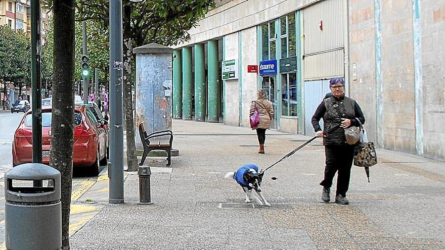 Una mujer paseo por la Avenida Zumalakarregi con su mascota.