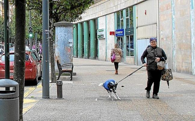 Una mujer paseo por la Avenida Zumalakarregi con su mascota.