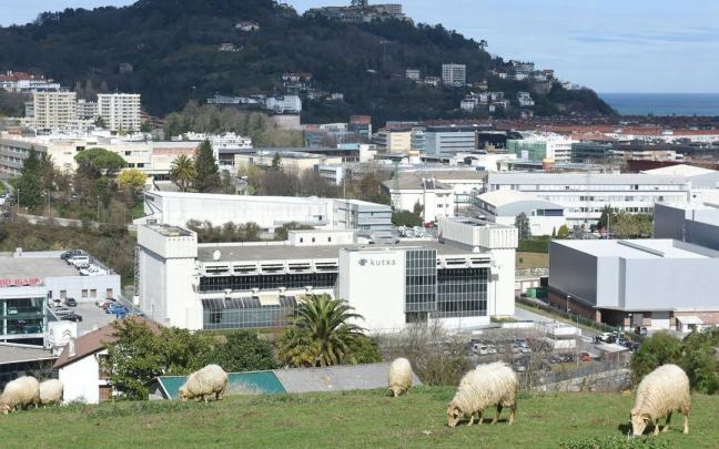Vista de Donostia con ovejas desde el camino del &Aacute;ngel de la Guarda