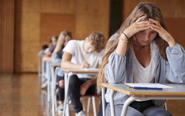 Todas las v&iacute;as de acceso a ciclos formativos y universidad