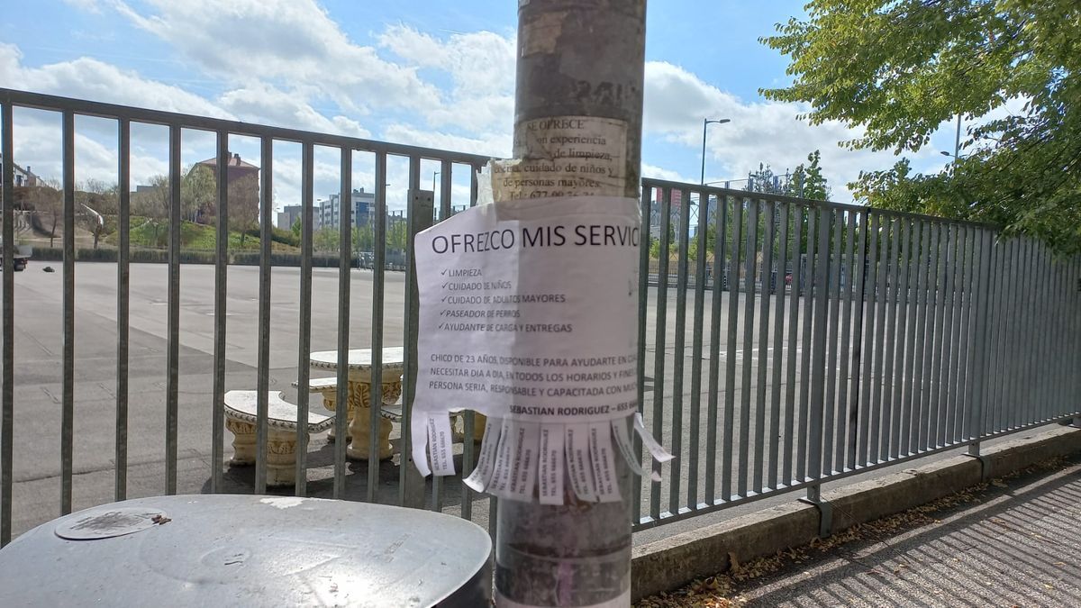 Carteles de jóvenes en farolas de Vitoria para buscar un empleo.