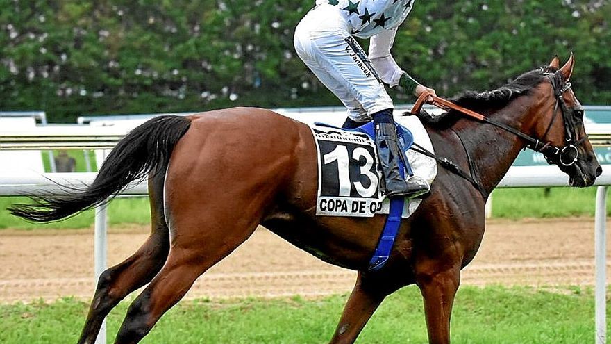 ‘The Way of Bonnie’ ganó la Copa de Oro del año pasado. | FOTO: ARNAITZ RUBIO