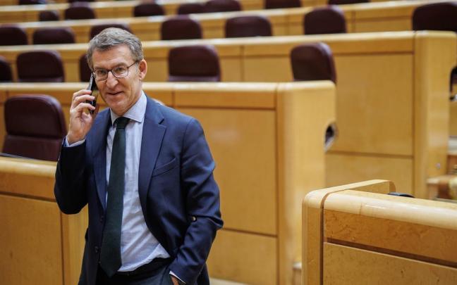El presidente del Partido Popular (PP), Alberto Núñez Feijóo. El presidente del Partido Popular (PP), Alberto Núñez Feijóo.