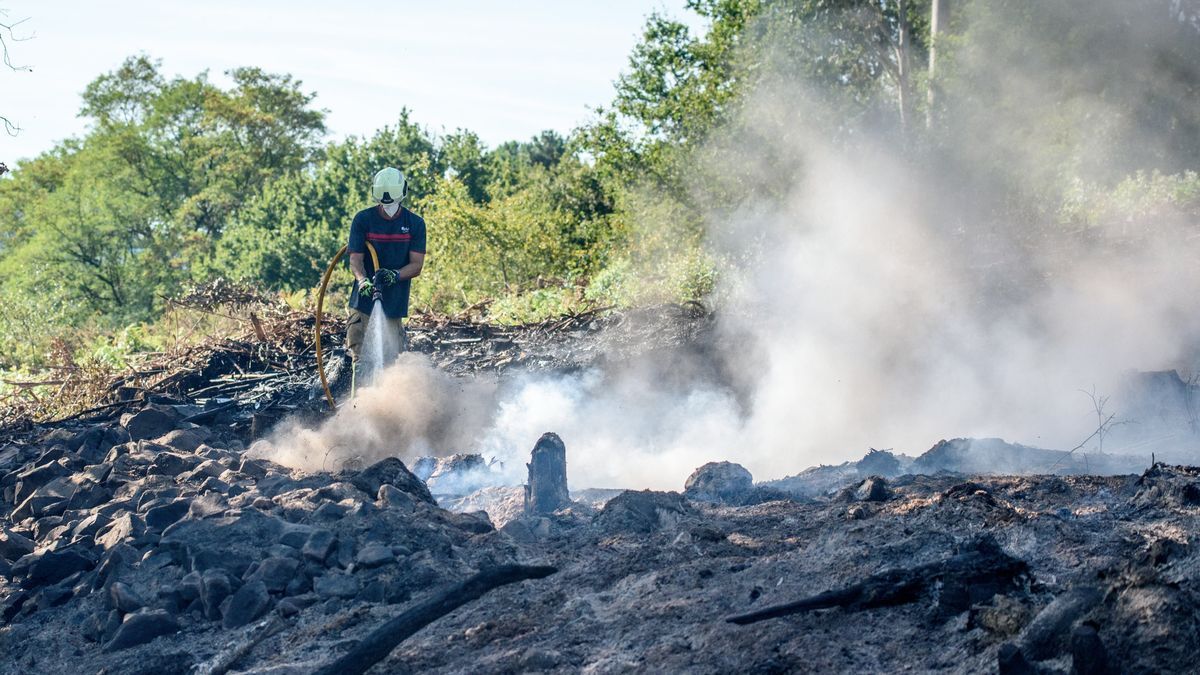 El incendio de Basauri en el que fallecieron los dos hermanos ya ha sido sofocado.