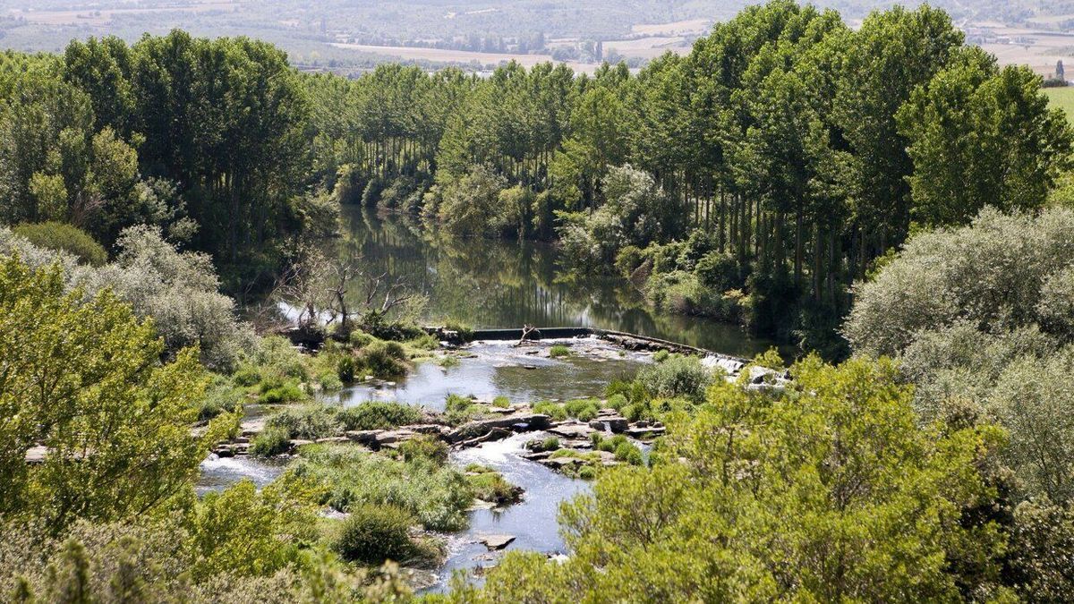 La conservación de ecosistemas como el del Zadorra es uno de los 17 objetivos ODS