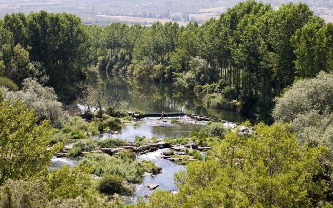 La conservación de ecosistemas como el del Zadorra es uno de los 17 objetivos ODS La conservación de ecosistemas como el del Zadorra es uno de los 17 objetivos ODS
