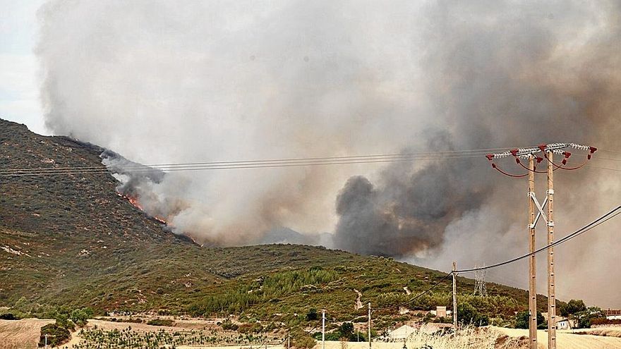 Imagen del fuego que ha asolado parte de los montes cercanos a Zambrana. | FOTO: PILAR BARCO