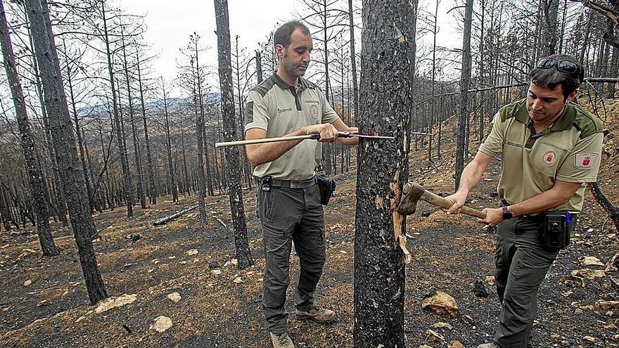 La zona cercana a San Martín de Unx, calcinada por las llamas.