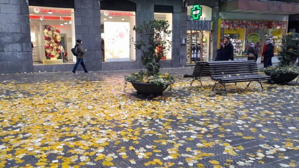 Una calle repleta de hojas secas.