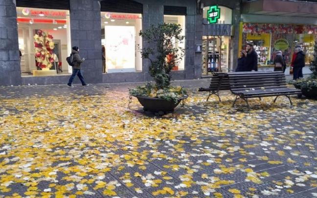 Una calle repleta de hojas secas.