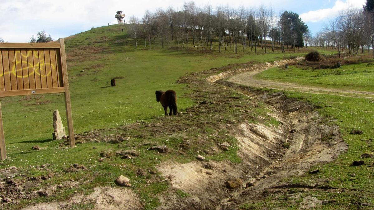 Animales pastan en las inmediaciones del mirador instalado en el Ilso Eguen.