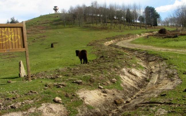 Animales pastan en las inmediaciones del mirador instalado en el Ilso Eguen.