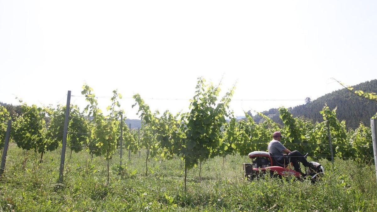 Los seguros agrarios suben hasta un 30%.