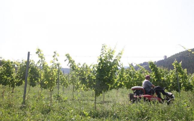 Los seguros agrarios suben hasta un 30%.