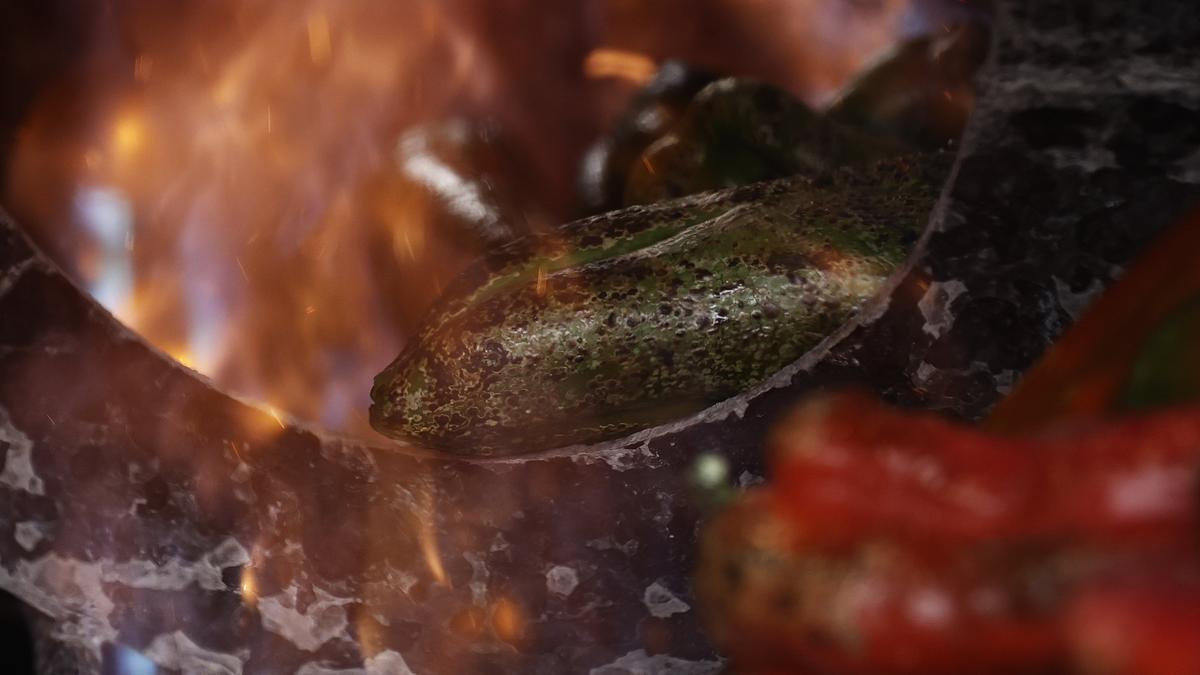 Comienza la recogida del pimiento del Piquillo de Lodosa