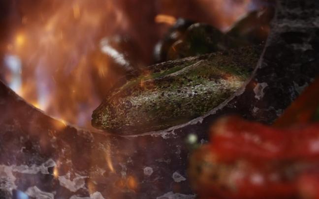 Comienza la recogida del pimiento del Piquillo de Lodosa