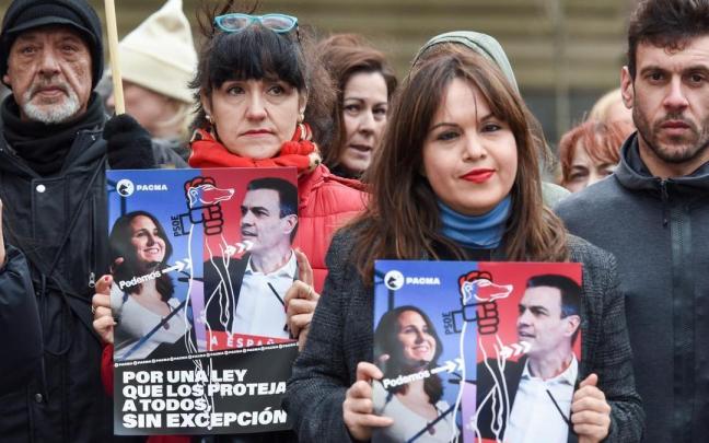 Concentración de PACMA contra la exclusión de los perros de caza de la Ley de Protección Animal. Concentración de PACMA contra la exclusión de los perros de caza de la Ley de Protección Animal.