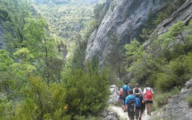 Ruta por Monta&ntilde;a Alavesa.