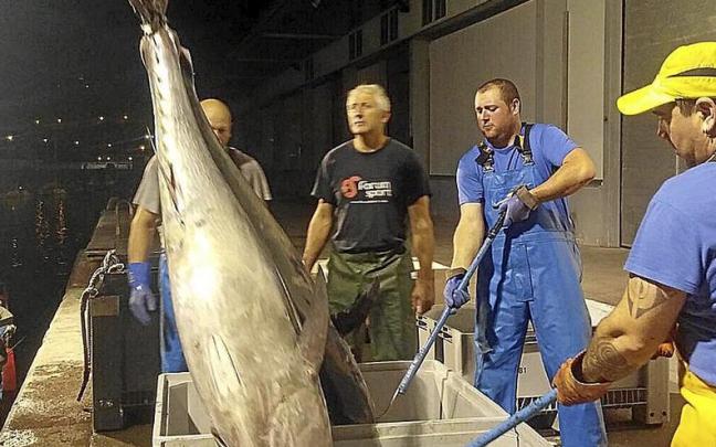 Bermeoko hogei bat atunontzi izoztaile ari dira arrantzan Atlantikoko uretan.