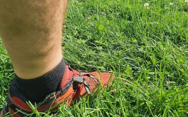 El Gaztedi ha comprobado que la hierba está muy alta ya que no se ha cortado antes del inicio de la pretemporada