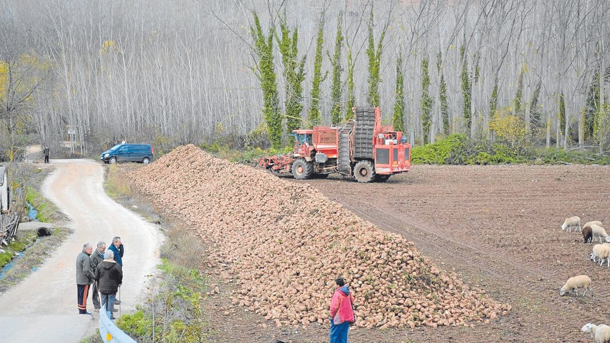 El sector primario alav&eacute;s se plantea no sembrar sus campos en un momento en el que, parad&oacute;jicamente, pesa sobre el planeta la amenaza del desabastecimiento de cereales como consecuencia de la invasi&oacute;n rusa. En la imagen, una plantaci&