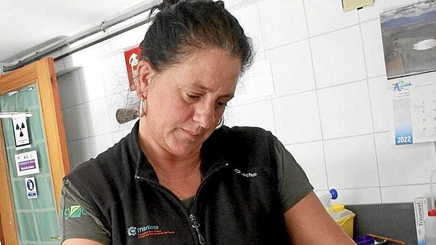 Patricia Lizarraga ofrece los cuidados veterinarios.