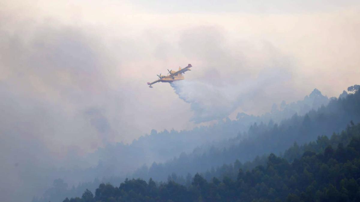 Dos hidroaviones trabajan para sofocar los incendios de La Arboleda y Berango