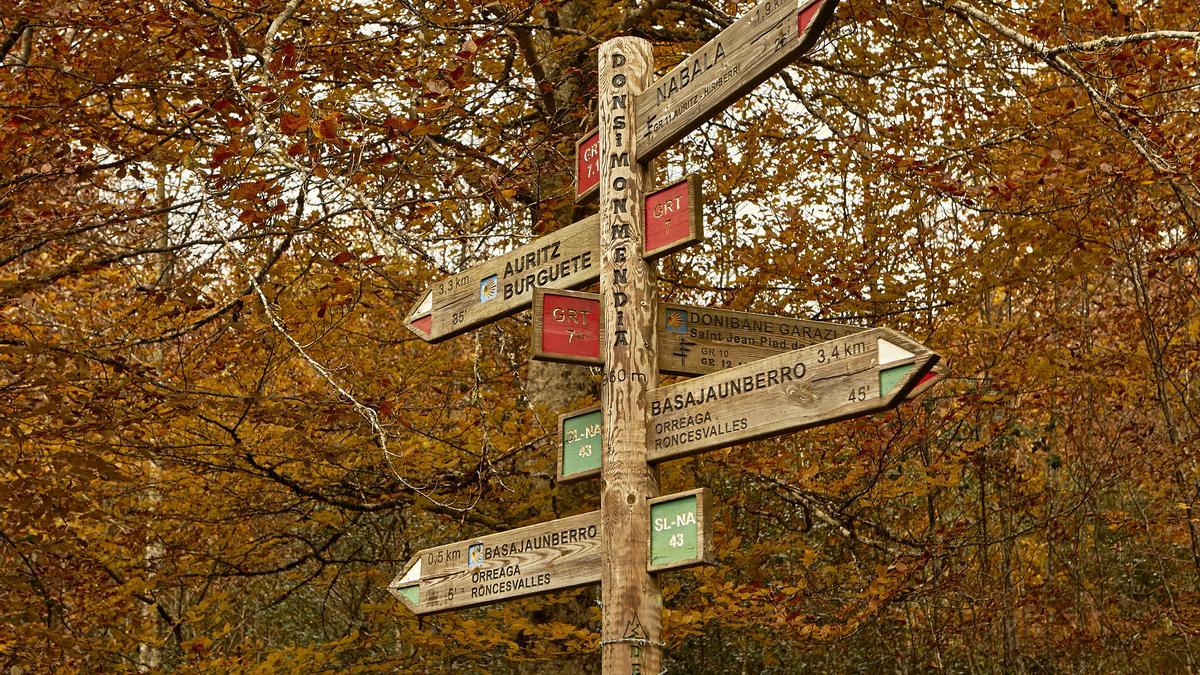 Señales en el bosque de Quinto Real