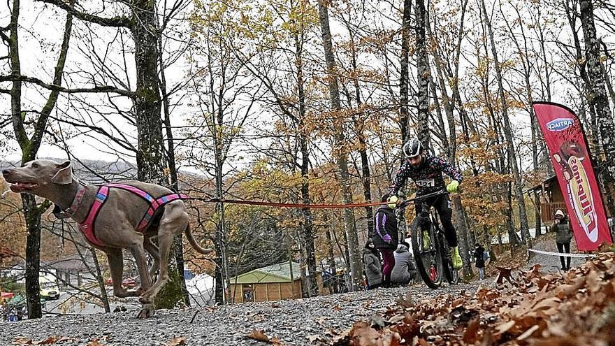 Éxito de participación y gran ambiente en Etxarriko Aranazko Txakurkrosa