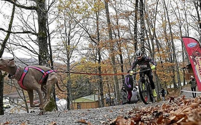 &Eacute;xito de participaci&oacute;n y gran ambiente en Etxarriko Aranazko Txakurkrosa