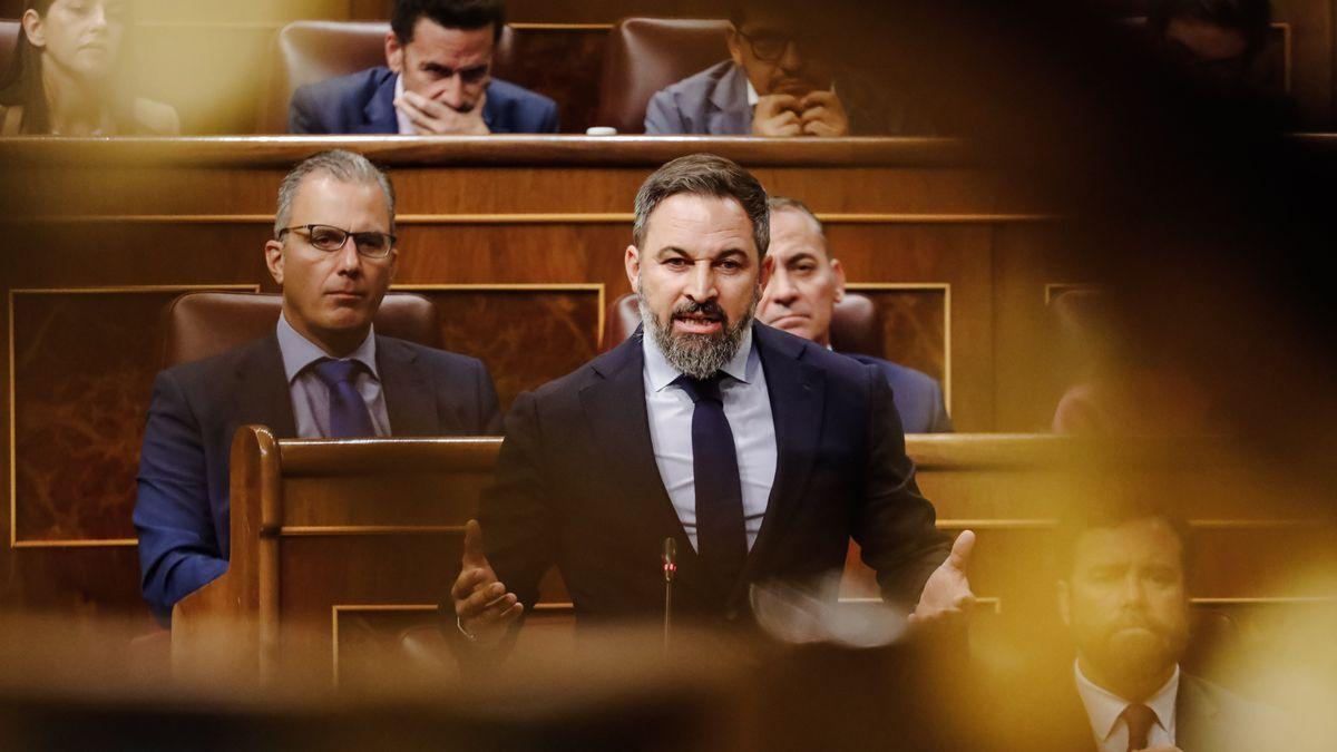 El presidente de Vox, Santiago Abascal, interviene durante una sesión plenaria en el Congreso de los Diputados